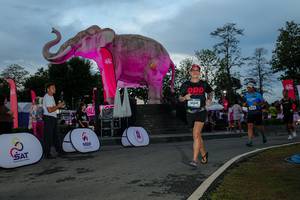 BIB: 
                            <button type="button" onclick="openModal(26529540)" class="btn btn-primary btn-sm float-right btn-popup" data-toggle="modal" data-target=".modal-high-quality">
                        <i class="fas fa-shopping-cart"></i> Add to Cart
                    </button>
                                            <button type="button" onclick="isThisMe(26529540, true)" class="btn btn-success btn-sm float-right btn-popup btn-isme hidden" data-toggle="tooltip" data-placement="bottom" title="นี่คือรูปของคุณใช่ไหม คลิกที่นี่เพื่อเอาเข้าอัลบั้ม">
                        <i class="fas fa-plus"></i> Add to album
                    </button>
                    <button type="button" onclick="isThisMe(26529540, false)" class="btn btn-warning btn-sm float-right btn-popup btn-isnotme hidden">
                        <i class="fas fa-ban"></i> Remove from album
                    </button>